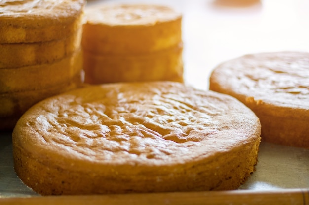 Biscuits decorated with chocolate.