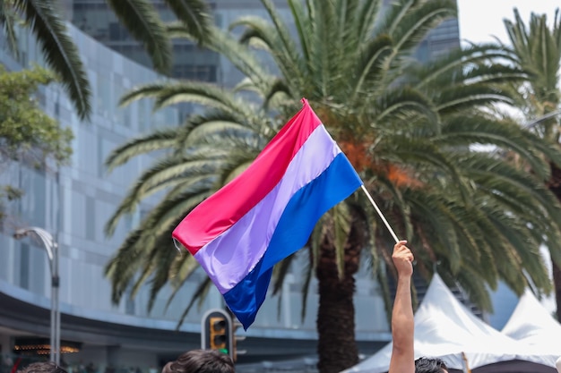 Biseksuele vlag bij de jaarlijkse homoparade in Mexico-Stad