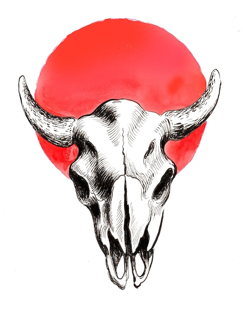 Photo bison bull skull, ink and watercolor drawing