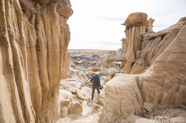 Foto bisti