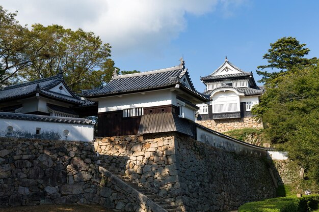 Bitchu matsuyama-kasteel in japan