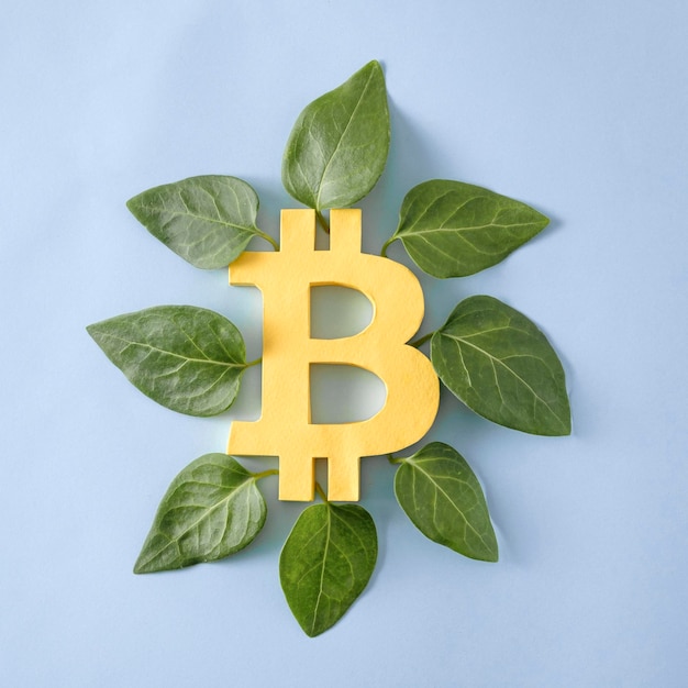 bitcoin crypto currency internet payment blockchain and leaves as a concept of growth and development of technology and financial services