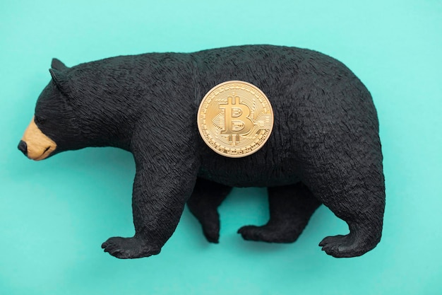 Bitcoin cryptocurrency coin with a grizzly bear. Bearish bitcoin trading.