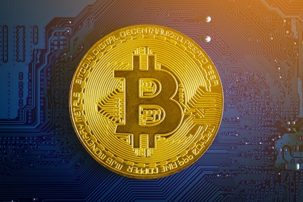 성장 차트가 있는 Bitcoin 암호 화폐 또는 황금 동전