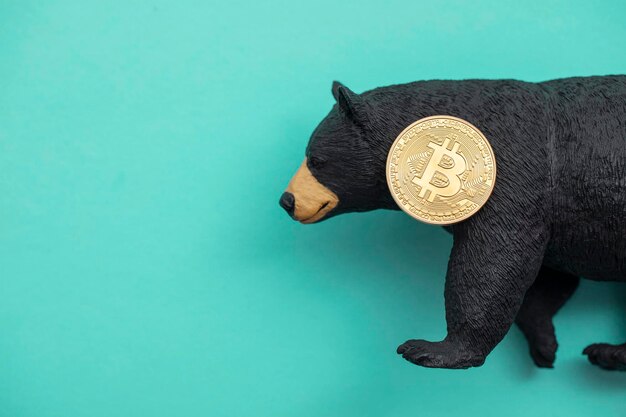 Bitcoin cryptocurrency munt met een grizzlybeer. Bearish bitcoin-handel.