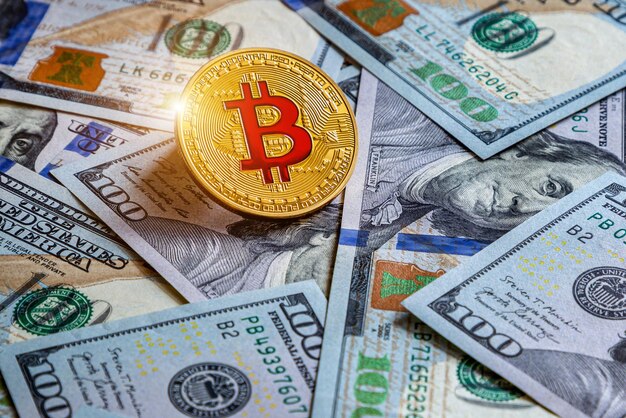 Bitcoin en dollars De digitale valuta van de wereld