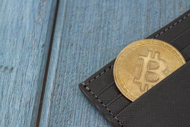 지갑에 Bitcoin 금화 배치 온라인 지불 기술 디지털 지갑 암호 화폐 거래 및 광업 투자 개념