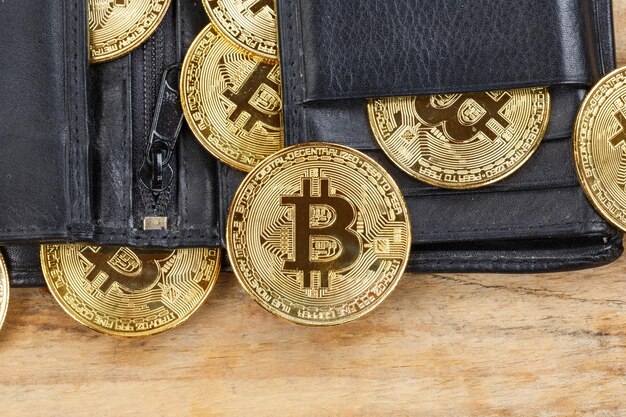 Bitcoin in een portemonnee crypto-valuta online betalen betalen digitaal geld cryptocurrency zakelijke financiën