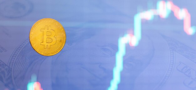 ビットコインの株価成長チャートは、ビットコインの価格の大幅な上昇を示しています