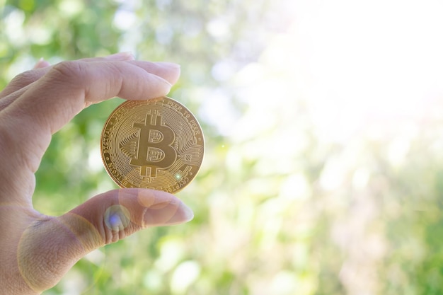 Bitcoin ter beschikking op achtergrond van groen in zonlicht