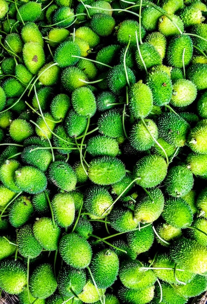 Bitter gemalen in een groentenmarkt in India