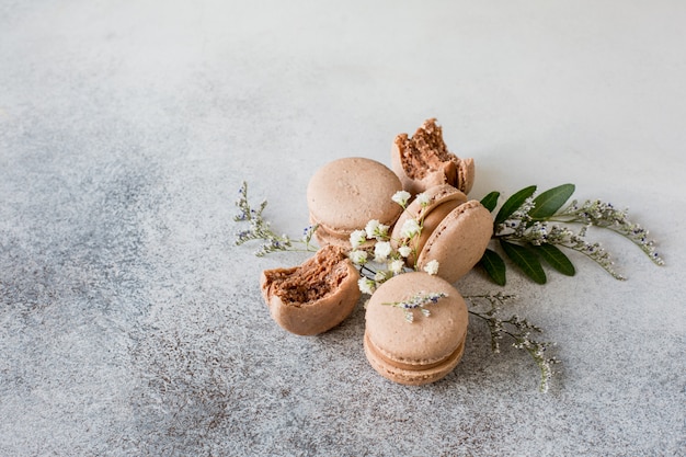 Bitterkoekjes met chocoladesmaak op een effen achtergrond