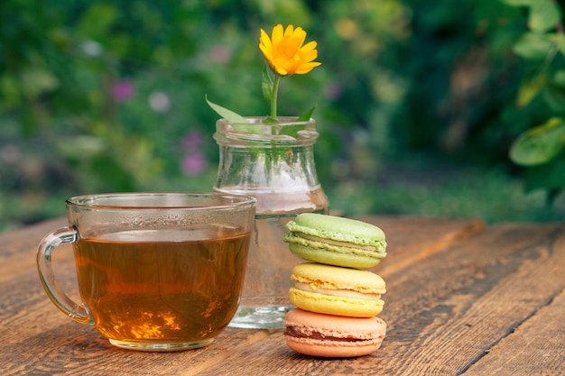 Bitterkoekjescakes van verschillende kleur, calendulabloem met een steel in een glazen pot en kopje groene thee