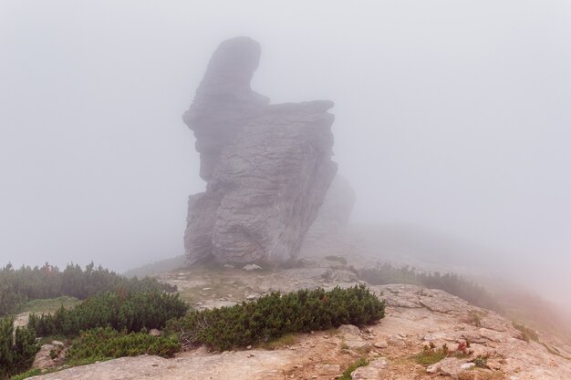 The bizarre shape of the mountain peak in the Carpathians