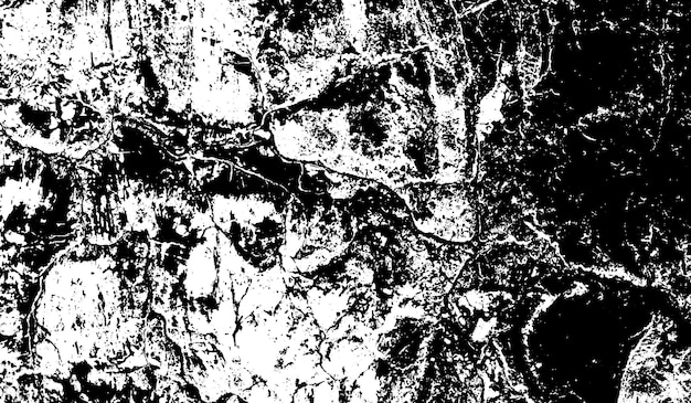 写真 黒と白のグランジ テクスチャ。抽象的なイラストの表面の背景。