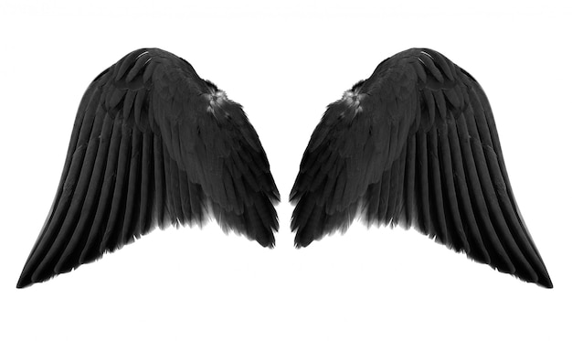 black angel wings isolated on white background