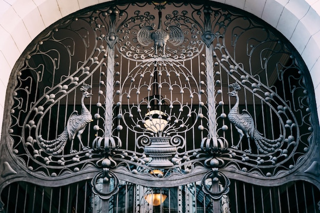 Black arched art metal wrought iron gate with the image of peacocks