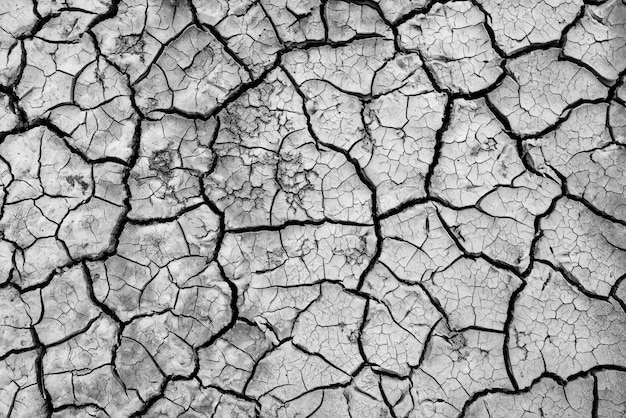 black background cracks white texture desert effect abstract