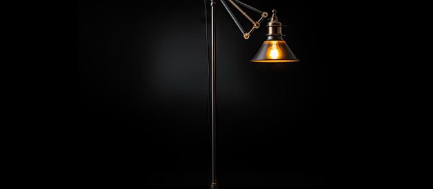 Black background isolates loft style floor lamp with switches