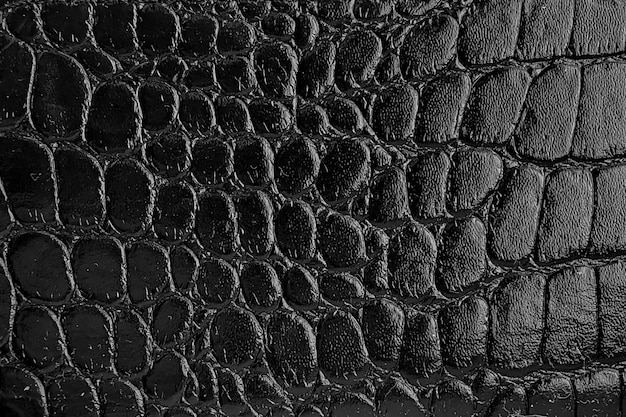 Black background snake or crocodile skin texture