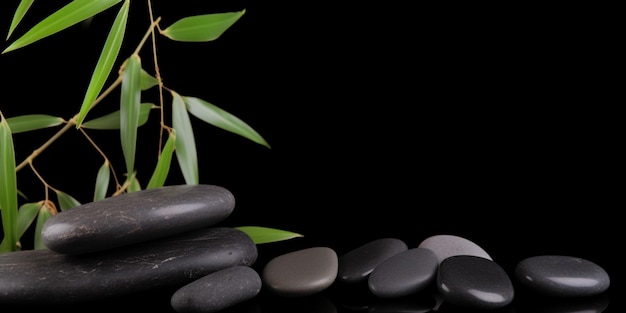 A black background with a bamboo plant and rocks.