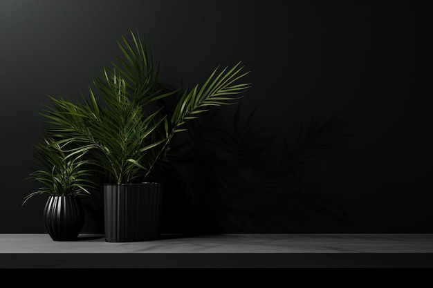 a black background with a plant and a black background