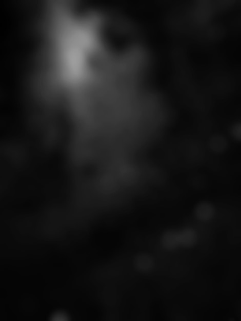 a black background with a white background abstract black background with some smooth lines