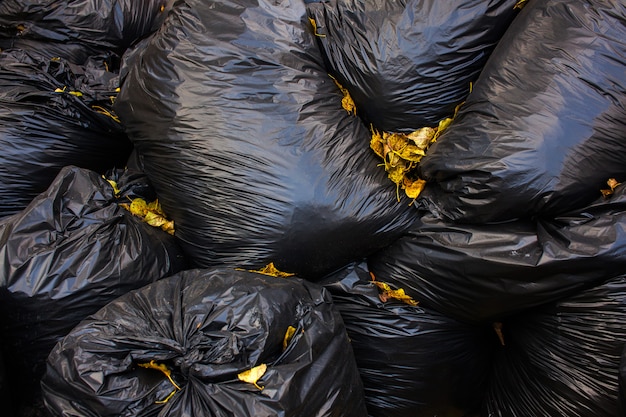 Black bags of garbage.