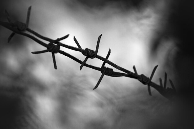 black barbed wire