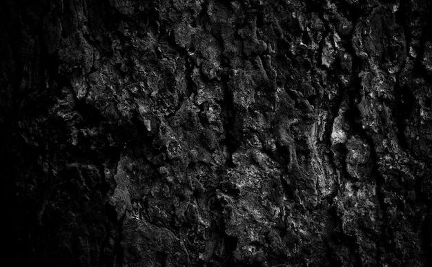 照片黑色树皮背景自然美丽的老树皮纹理