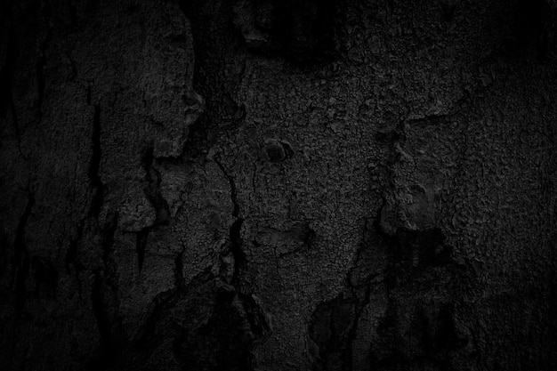 black bark background Naturally beautiful old bark texture