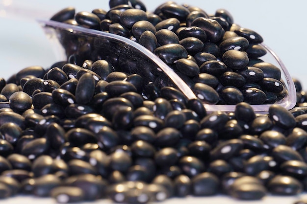 Black bean isolated on white background