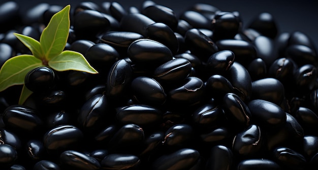 black beans on a black slate table