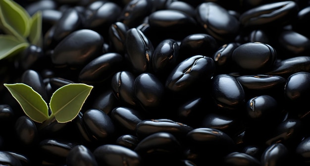 black beans on a black slate table