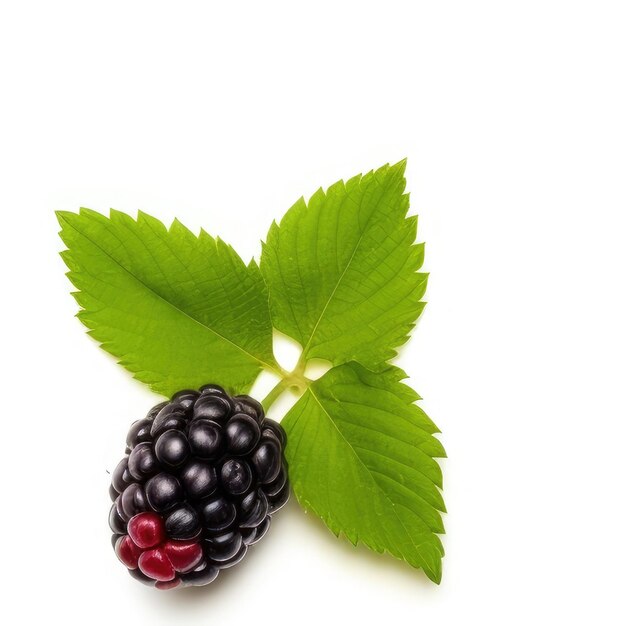 A black berry with a green leaf on it