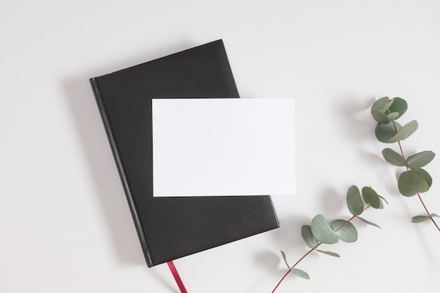 Black book cover with blank card and eucalyptus leaves on gray background