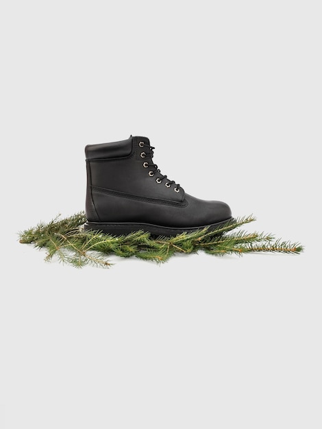 Black boot on fir branches. Photo of shoes on a white background.