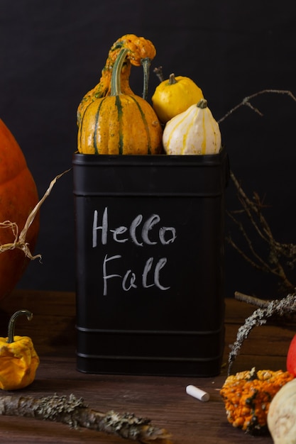 black box with pumpkins on a dark background