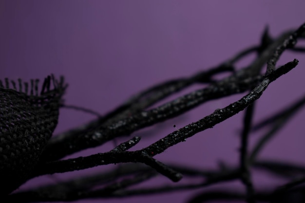 A black branch with a little bit of black paint on it.