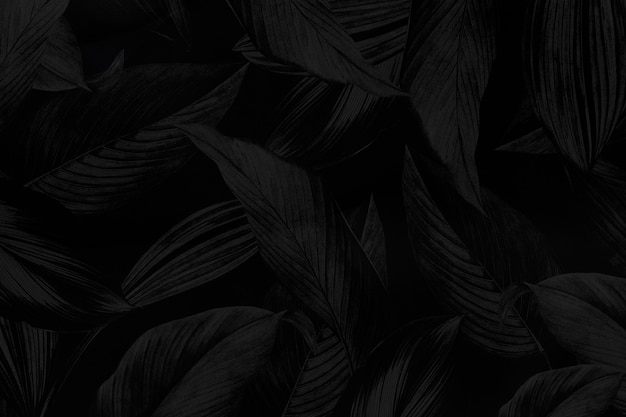Photo black calathea lutea patterned background