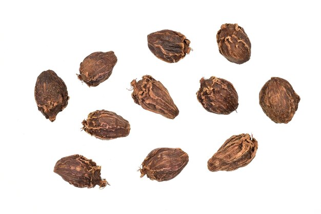 Black cardamom isolated on white background with clipping path