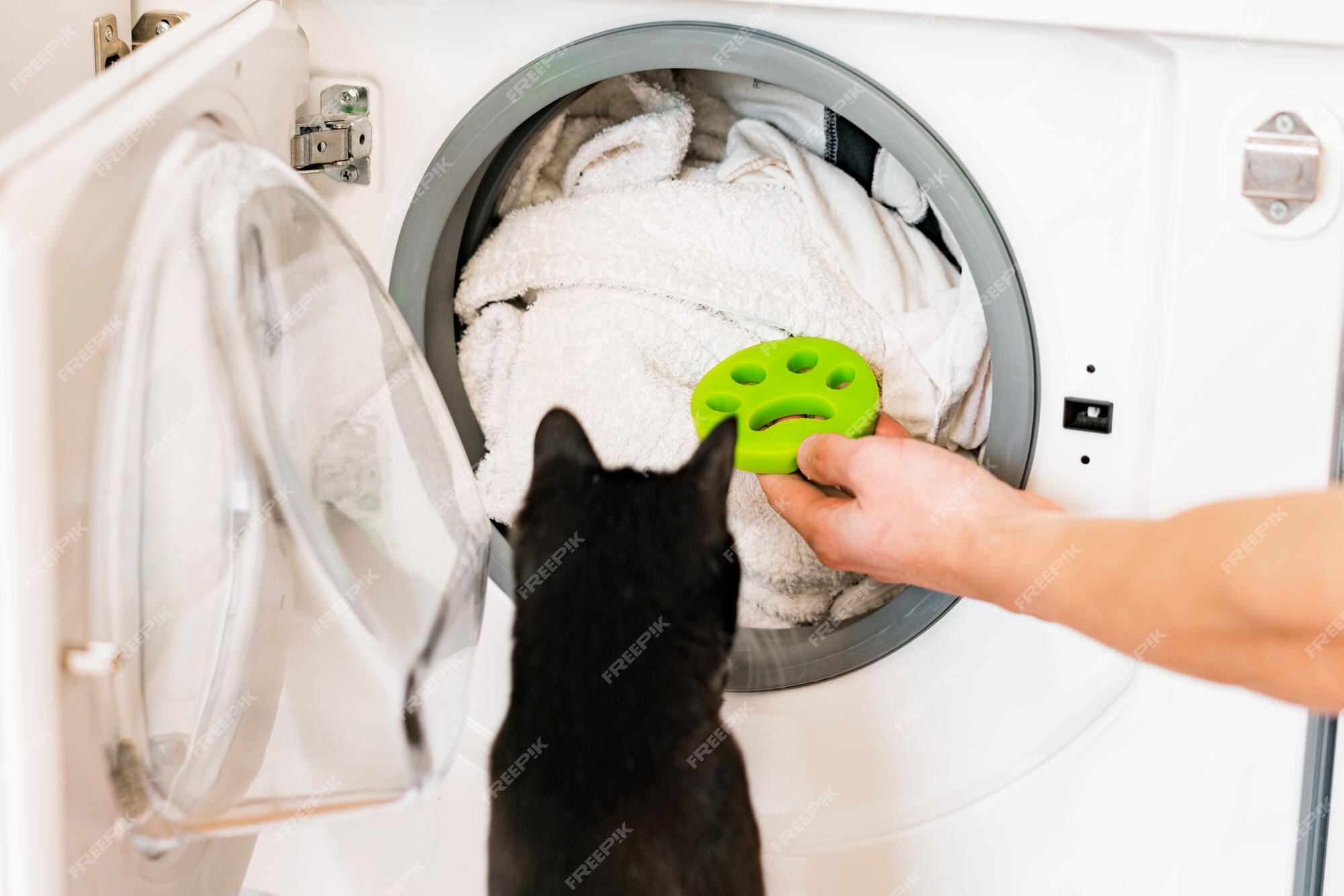 Premium Photo | Black cat looking at laundry machine with green rubber pet  hair remover. washing machine. clothes viscous material. grab. human. owner