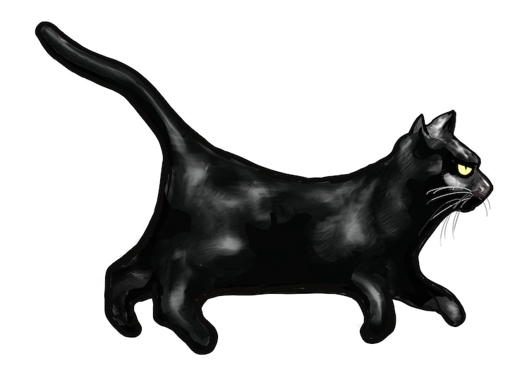 Photo black cat png illustration transparent background