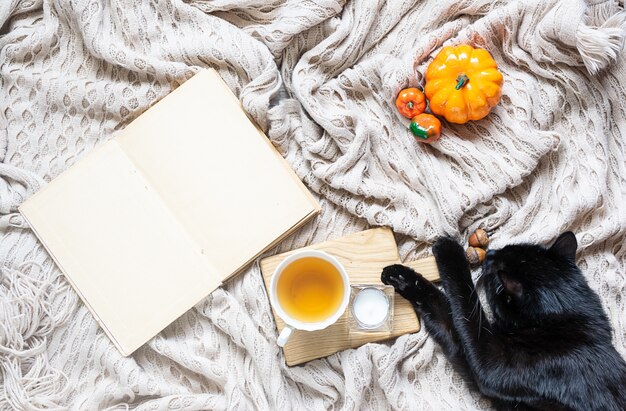 Black cat sitting beside opened book in bed