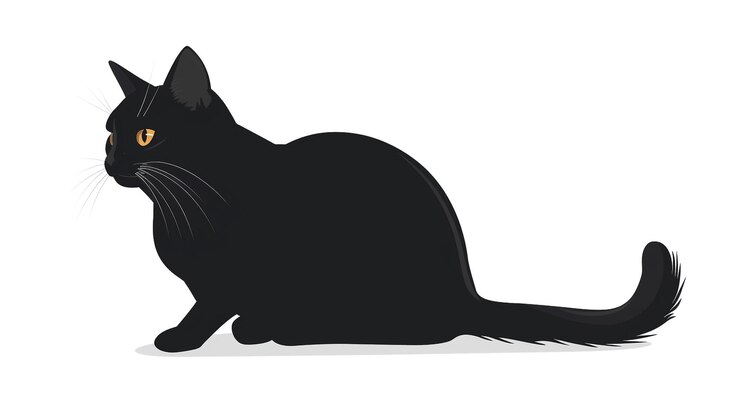 Photo a black cat with a long tail sits on a white background