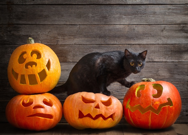 Black cat with orange halloween pumpkin on wooden background