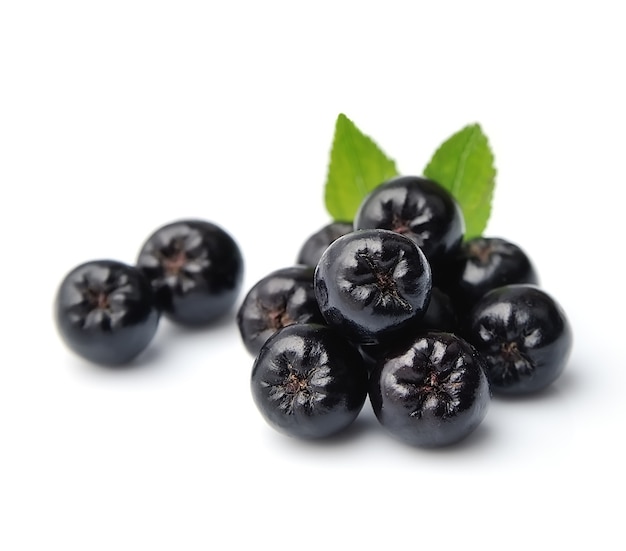 Black chokeberry close up. Black aronia berries.