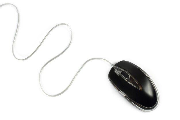 Black computer mouse on a white background