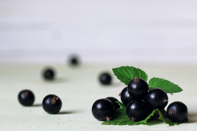 Black currant berry background