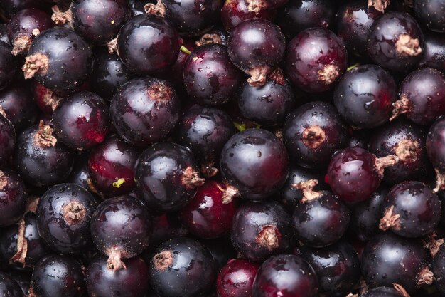 Black currant fuits as a background for design